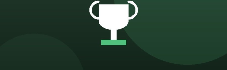Физкультурно-спортивное направление